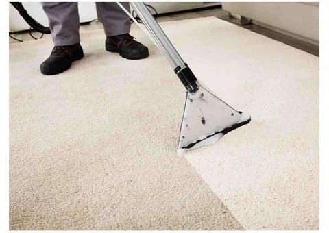 Trusted Carpet Cleaning Experts in Sutherland Shire NSW (59 characters)