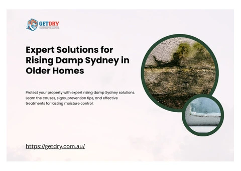 Expert Solutions for Rising Damp Sydney in Older Homes