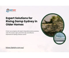 Expert Solutions for Rising Damp Sydney in Older Homes