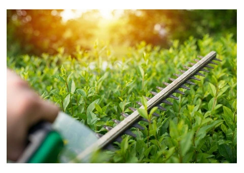Jim's Mowing Bentleigh East is a trusted local gardening and lawn care service - 1/3