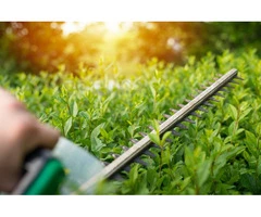 Jim's Mowing Bentleigh East is a trusted local gardening and lawn care service