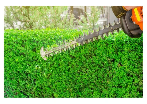 Jim's Mowing Bentleigh East is a trusted local gardening and lawn care service - 2/3