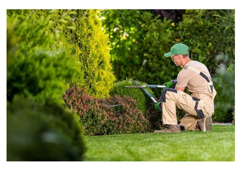 Jim's Mowing Bentleigh East is a trusted local gardening and lawn care service - 3/3