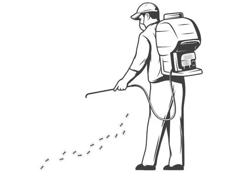 Protect Your Home with Professional Pest and Wildlife Management in Melbourne