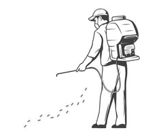 Protect Your Home with Professional Pest and Wildlife Management in Melbourne