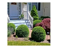 A Horticulturist in Brighton Who Knows the Local Soil and Conditions
