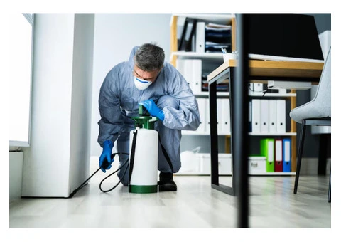 Reliable Pest Control in Cranbourne for Homes and Businesses