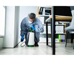 Reliable Pest Control in Cranbourne for Homes and Businesses