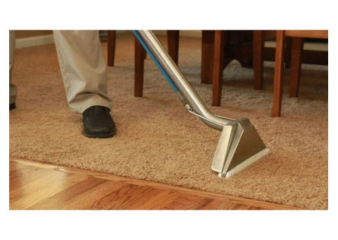 Professional Inner West Carpet Cleaning for Fresh Clean Carpets