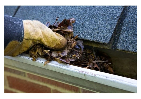 Trusted Penrith Gutter Cleaners for Safe and Clean Gutters