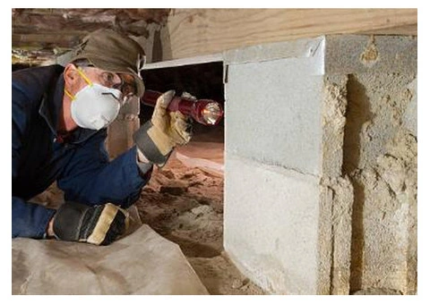 Building and Pest Inspection Canberra | Trusted Property Inspection Experts
