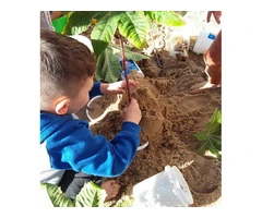 Best Childcare in Roselands: Why Sunny Kids Child Care Leads the Way