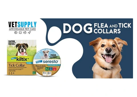 Buy Dog Toys Online