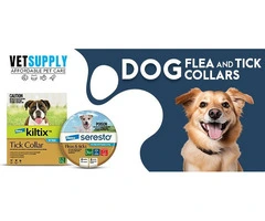 Buy Dog Toys Online