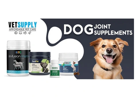 Best Joint Supplements for Dogs