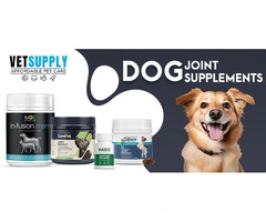 Best Joint Supplements for Dogs