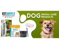 Dog Dental Care Products