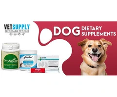 Dog Dietary Supplements