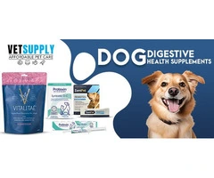 Dog Digestive Supplements