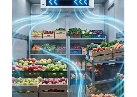 Fresh Produce Delivered with Care and Precision
