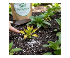 What Is Fish Hydrolysate? The Natural Way to Build Healthier Soil