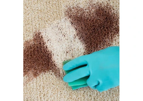 Professional Carpet Blood Stain Removal in Melbourne