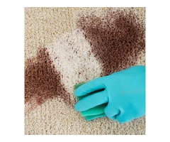 Professional Carpet Blood Stain Removal in Melbourne