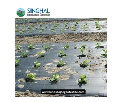 Multipurpose Mulch Film for Modern Agricultural Solutions