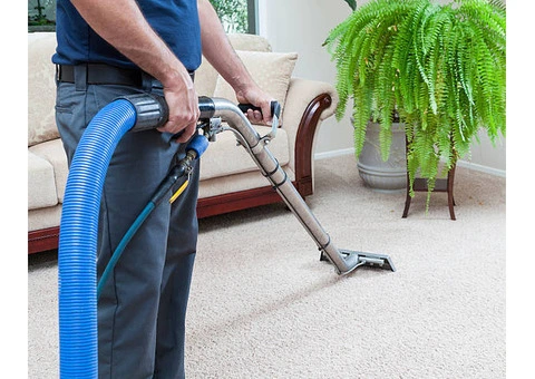 Refresh Your Home with Expert Carpet Cleaning in South Melbourne