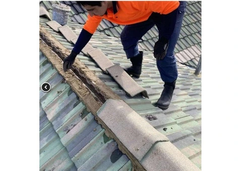 Roof Leak Repair Craigmore – Protect Your Home Today
