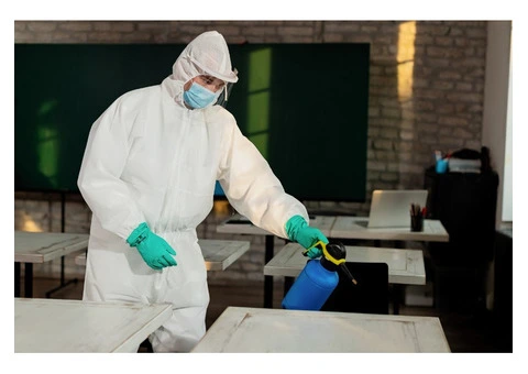 Professional Pest Control Services in Collaroy