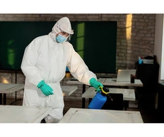 Professional Pest Control Services in Collaroy