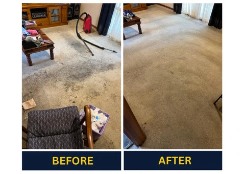 Improve indoor air quality with end-to-end Carpet Cleaning Adelaide