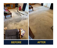 Improve indoor air quality with end-to-end Carpet Cleaning Adelaide