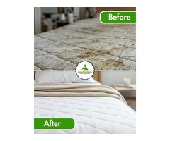Reliable Carpet Cleaning Experts in North Brisbane | Quality Cleaning Solutions
