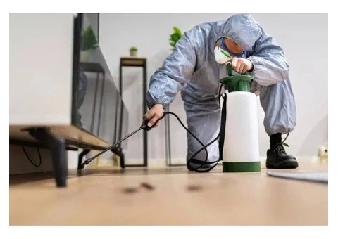 Professional Pest Control in Abbotsbury You Can Trust