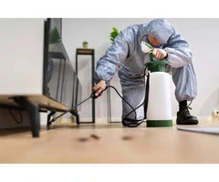 Professional Pest Control in Abbotsbury You Can Trust
