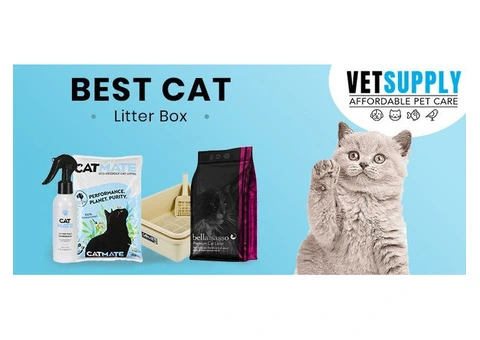Cat Litter