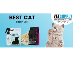 Cat Litter