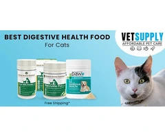 Cat Digestive Supplements