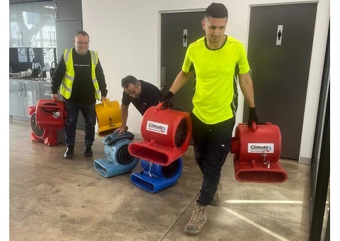 Top Emergency Flood Clean Up Experts Near You