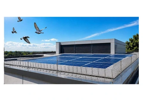 Bird Repeller Solutions – Keep Birds Away the Smart Way