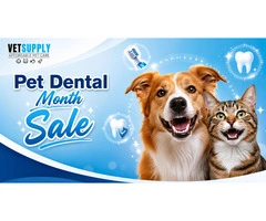 Pet Dental Month Sale