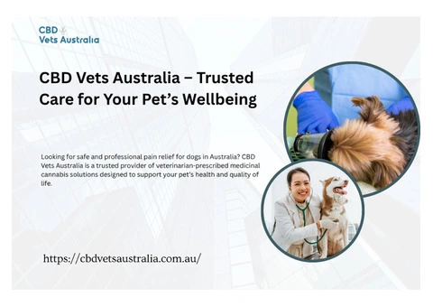 CBD Vets Australia – Trusted Care for Your Pet’s Wellbeing