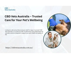 CBD Vets Australia – Trusted Care for Your Pet’s Wellbeing