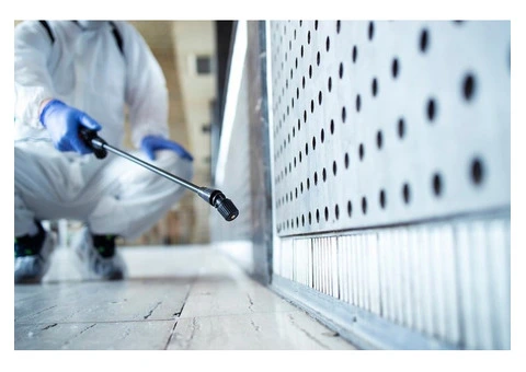 Trusted Same Day Pest Control Services in Canberra
