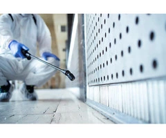 Trusted Same Day Pest Control Services in Canberra