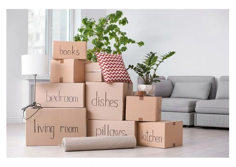 How Do Removalists Protect Items During Transportation?