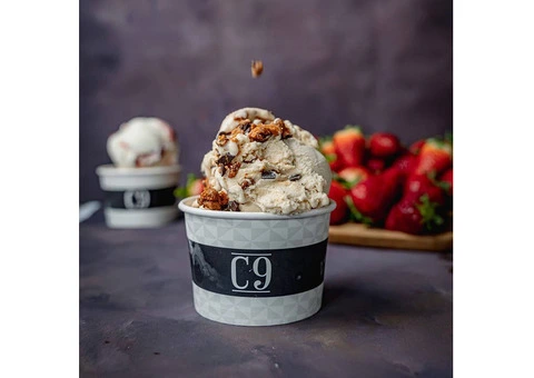 Want Artisan Gelato Ice Cream Cake for Special Events?