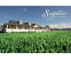 Choose Hardy Buffalo Turf Grown Right in Freemans Reach